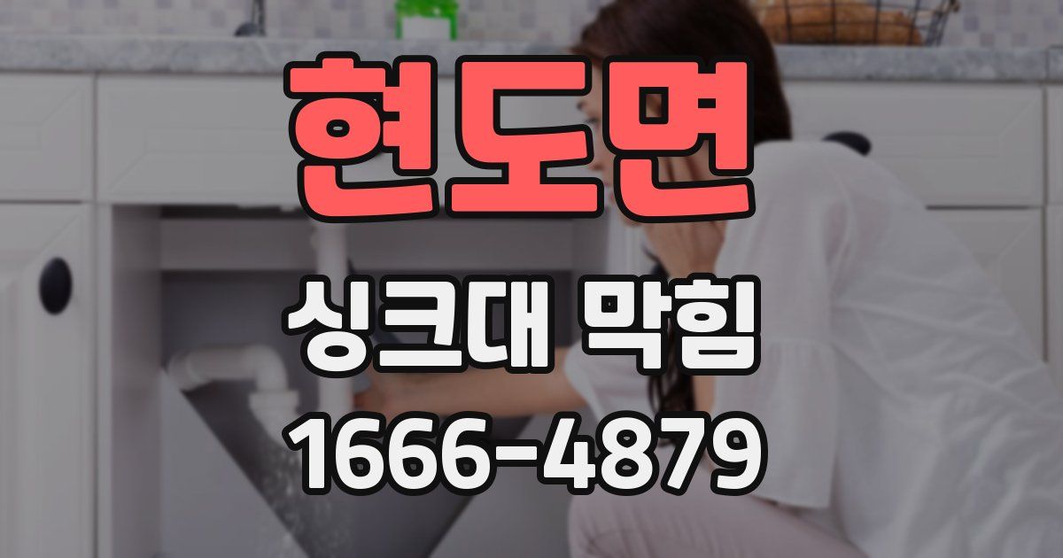 현도면 싱크대 막힘