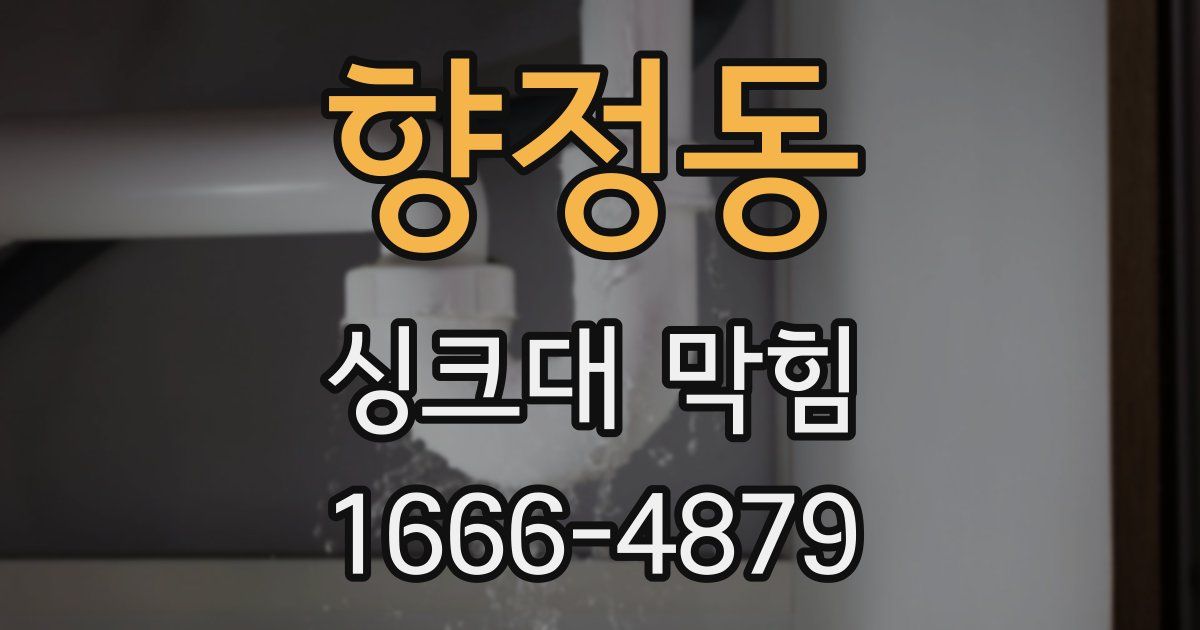 향정동 싱크대 막힘