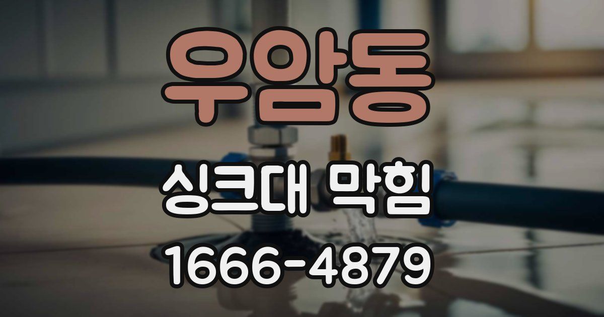 우암동 싱크대 막힘