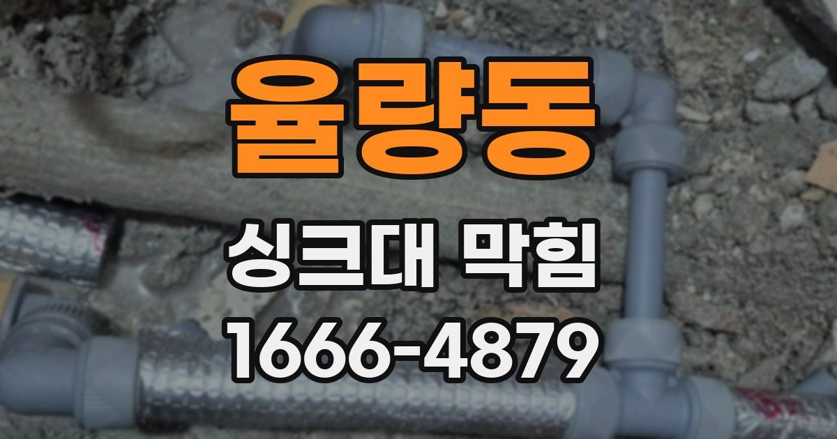 율량동 싱크대 막힘