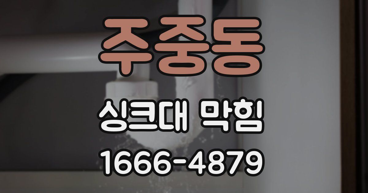 주중동 싱크대 막힘