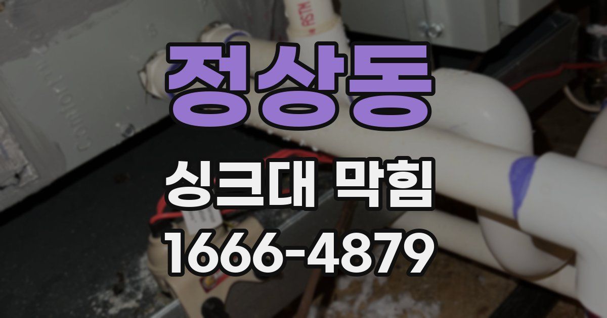 정상동 싱크대 막힘