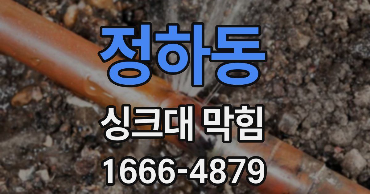 정하동 싱크대 막힘