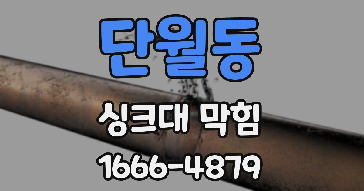 단월동 싱크대 막힘