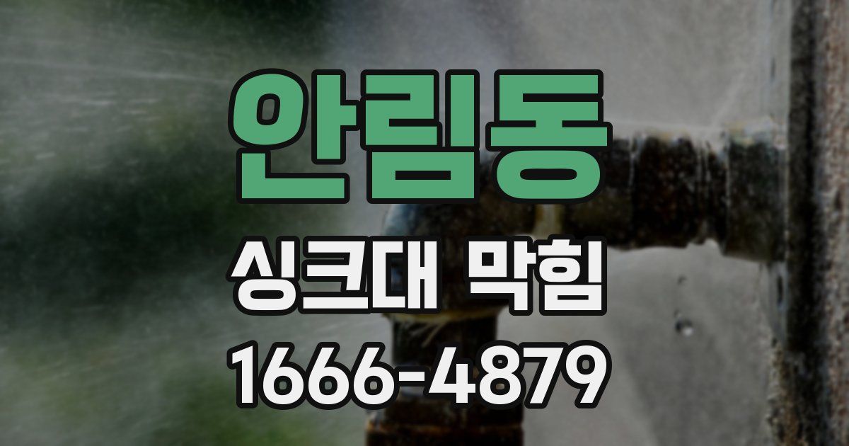 안림동 싱크대 막힘