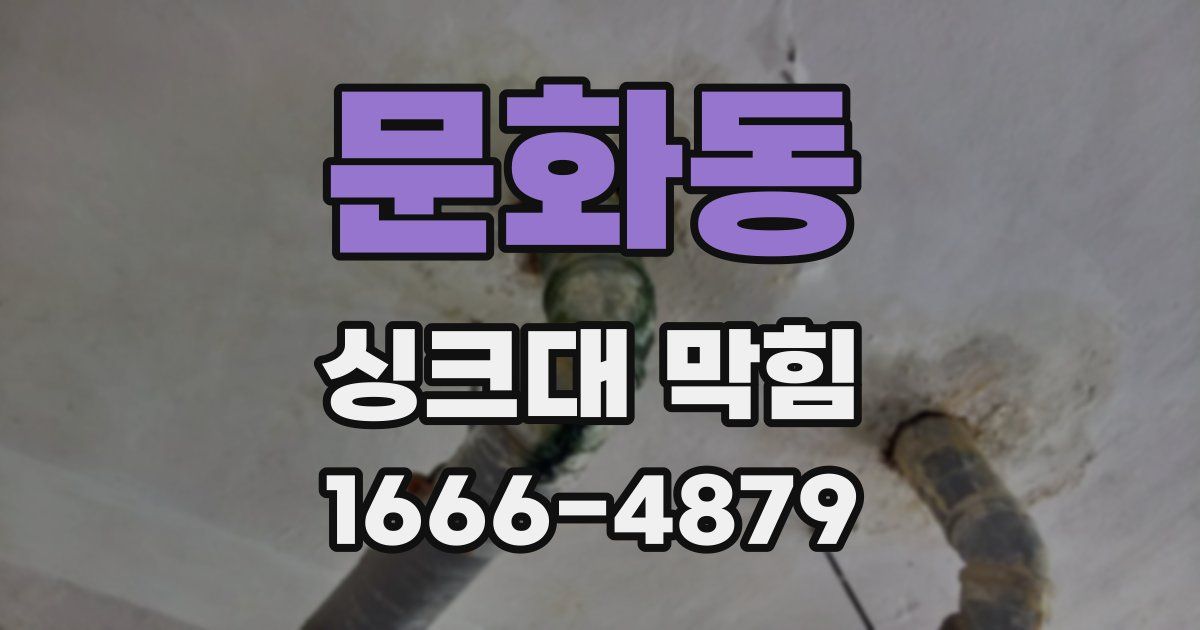 문화동 싱크대 막힘