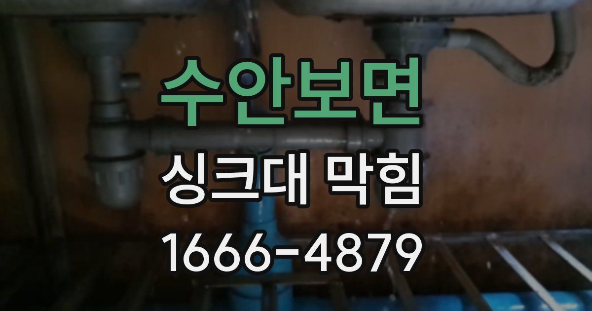 수안보면 싱크대 막힘