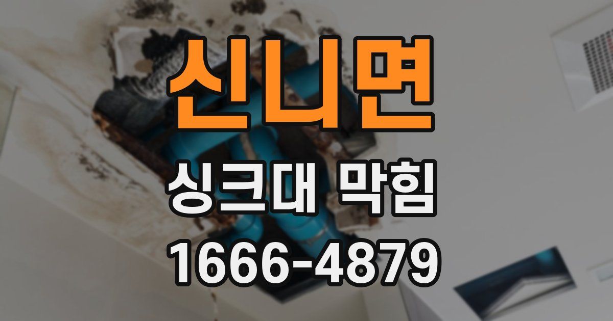 신니면 싱크대 막힘