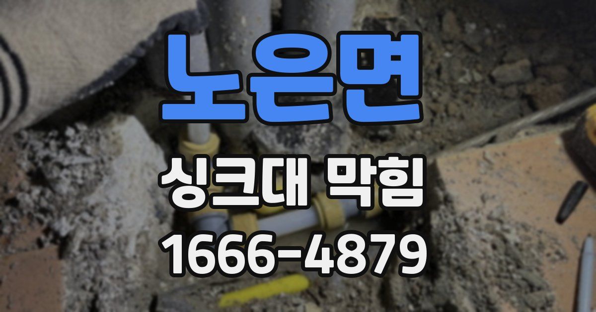 노은면 싱크대 막힘