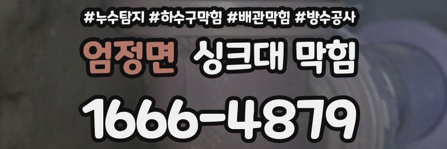 엄정면 싱크대 막힘
