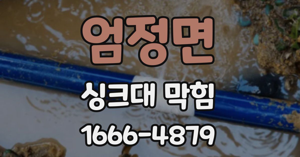 엄정면 싱크대 막힘