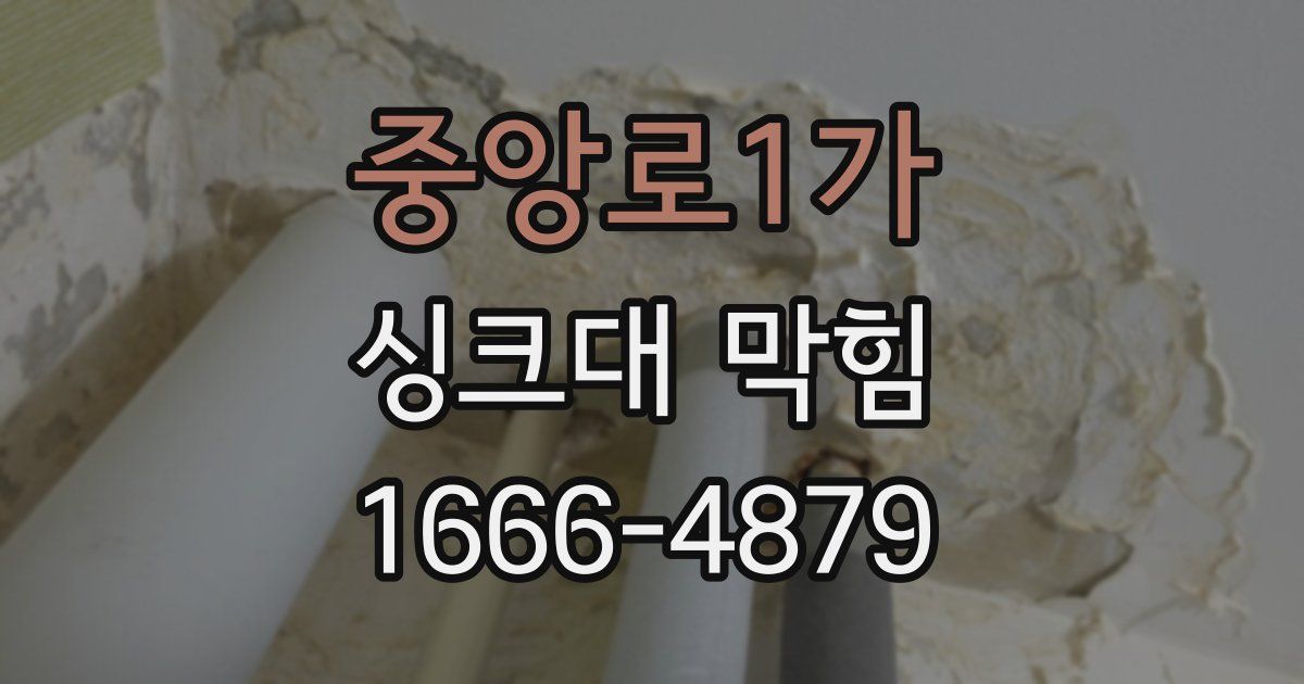 중앙로1가 싱크대 막힘