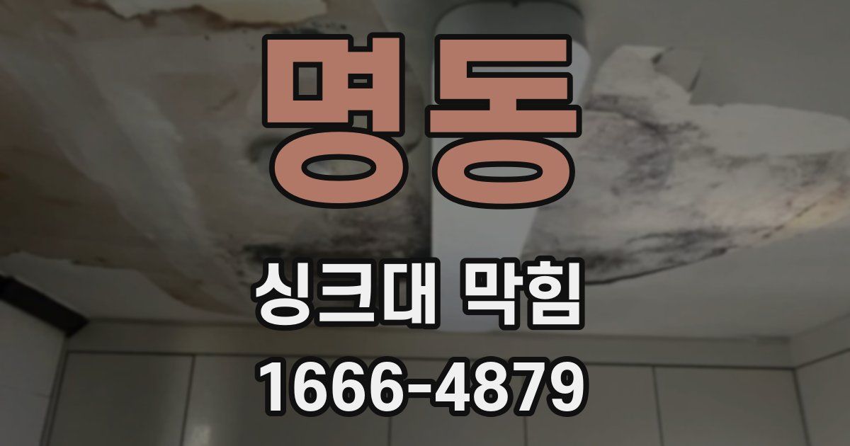 명동 싱크대 막힘