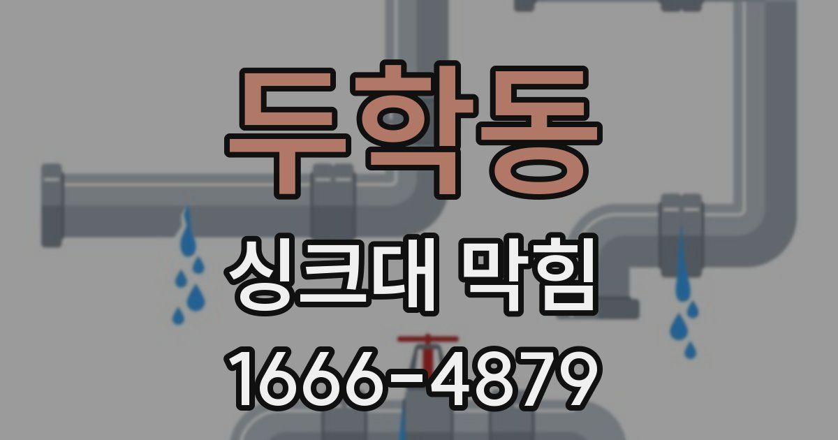 두학동 싱크대 막힘