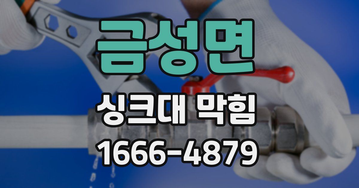 금성면 싱크대 막힘