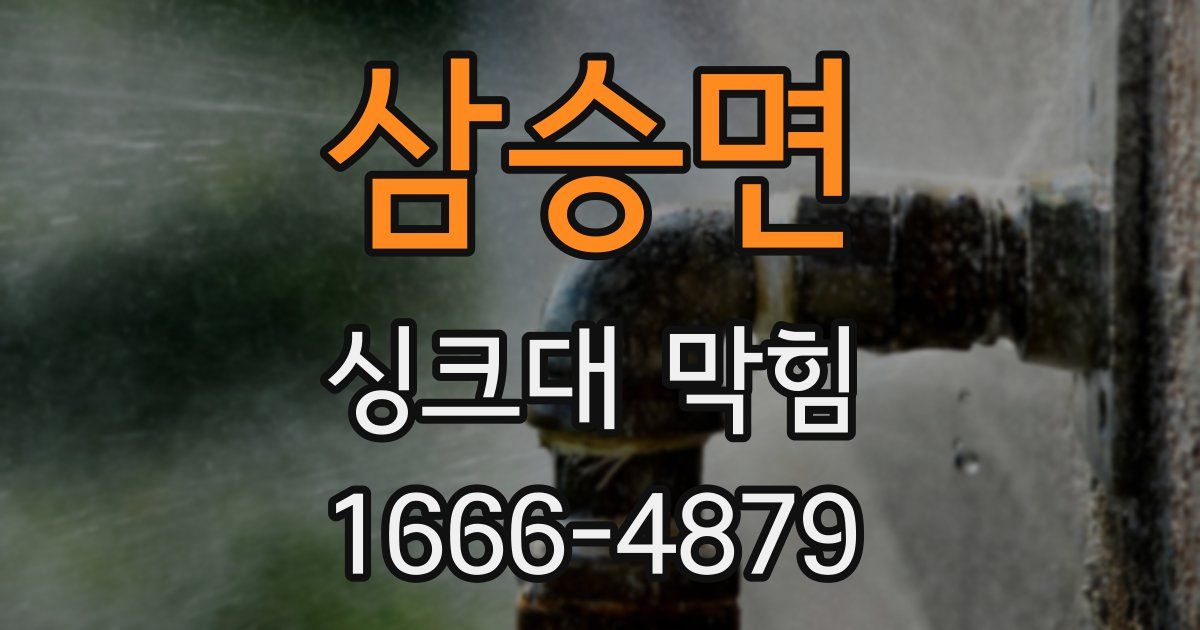 삼승면 싱크대 막힘