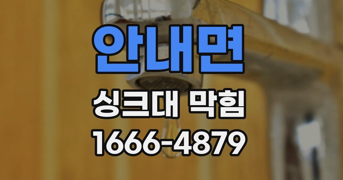 안내면 싱크대 막힘