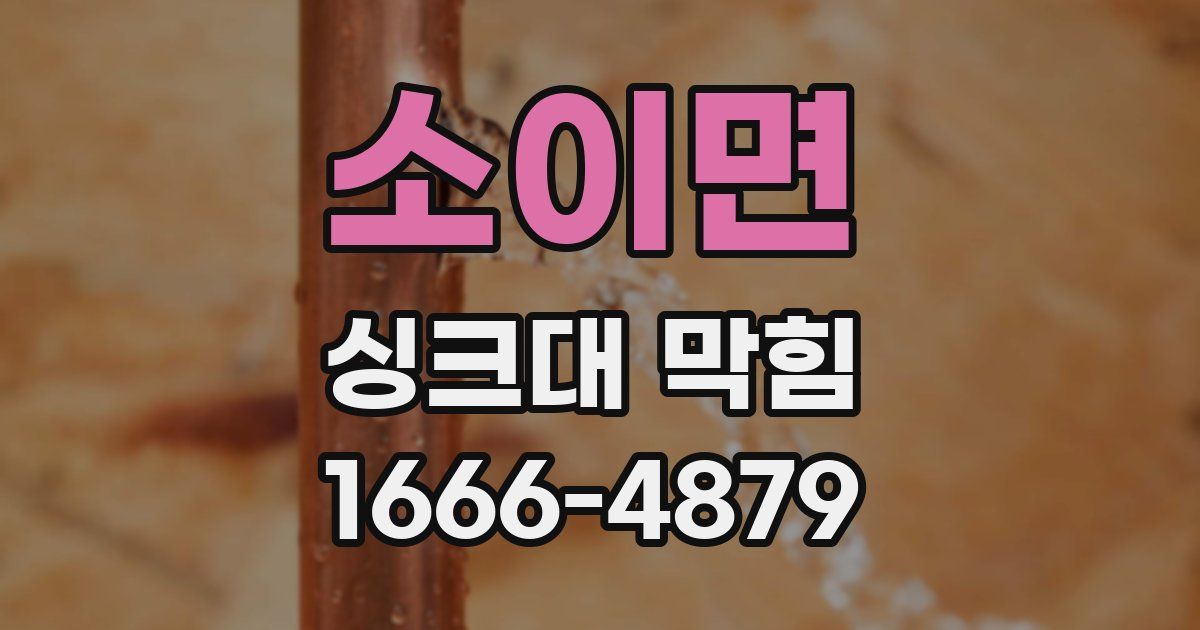 소이면 싱크대 막힘