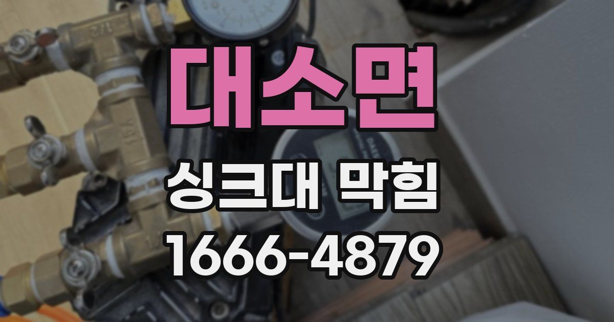 대소면 싱크대 막힘