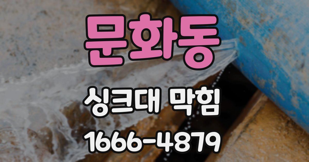 문화동 싱크대 막힘
