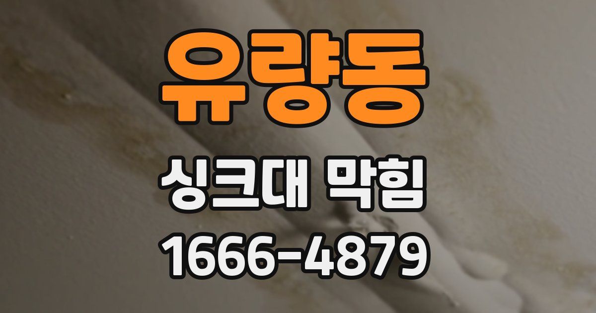 유량동 싱크대 막힘