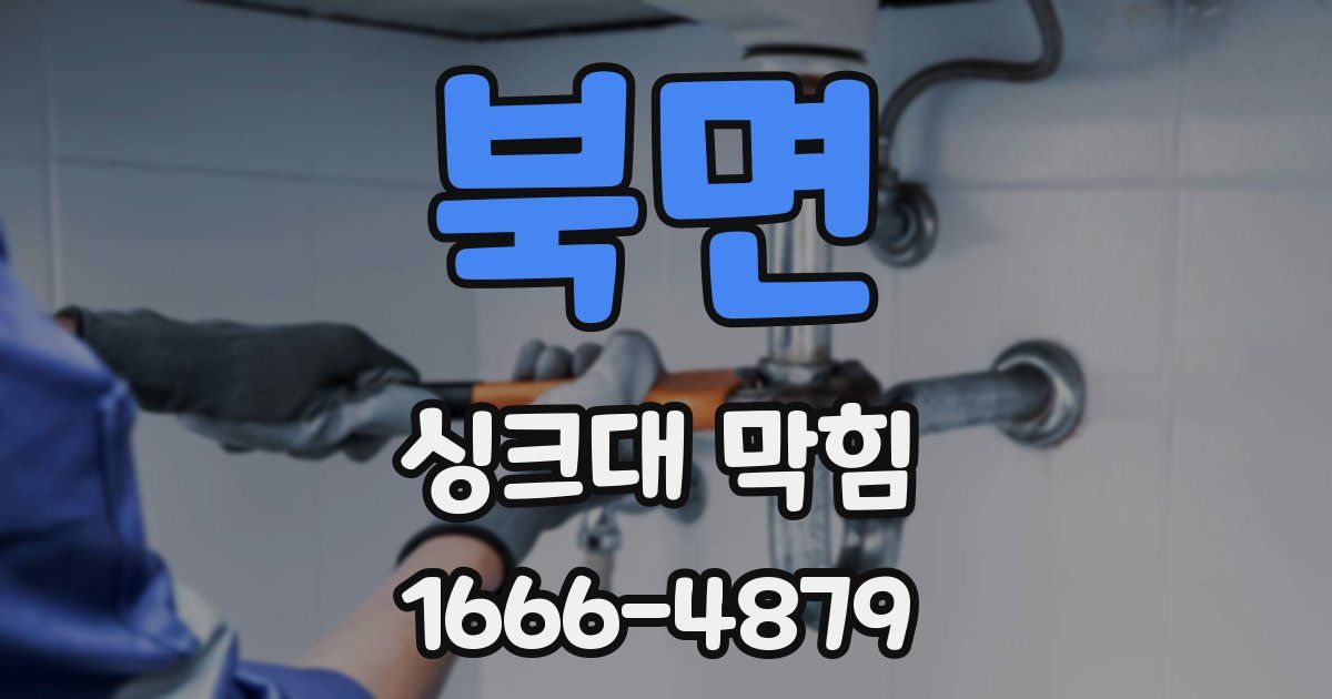 북면 싱크대 막힘