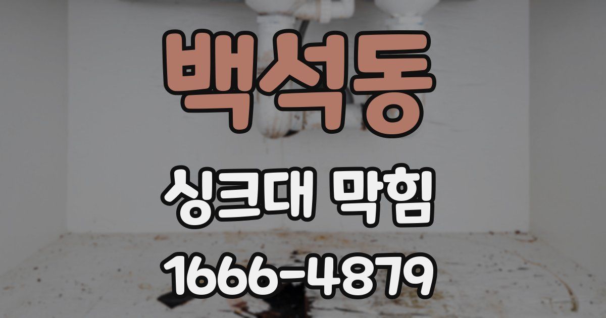 백석동 싱크대 막힘
