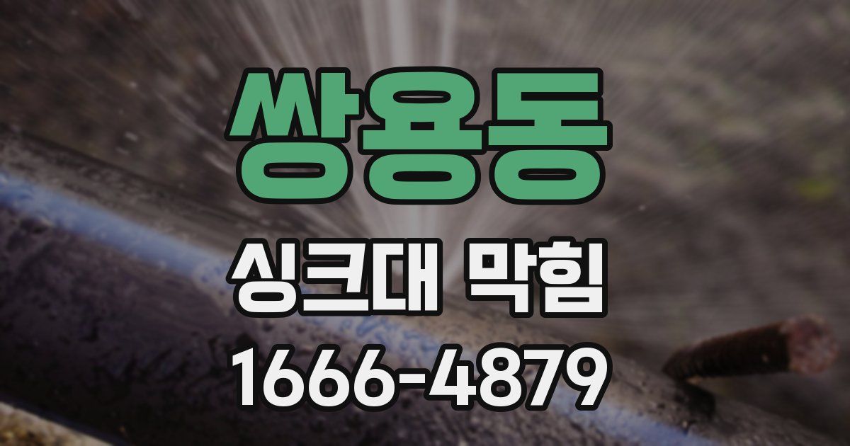 쌍용동 싱크대 막힘