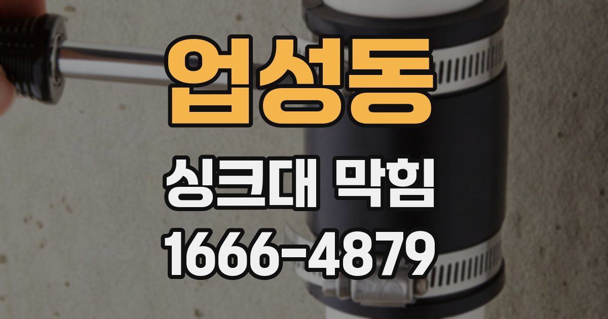 업성동 싱크대 막힘