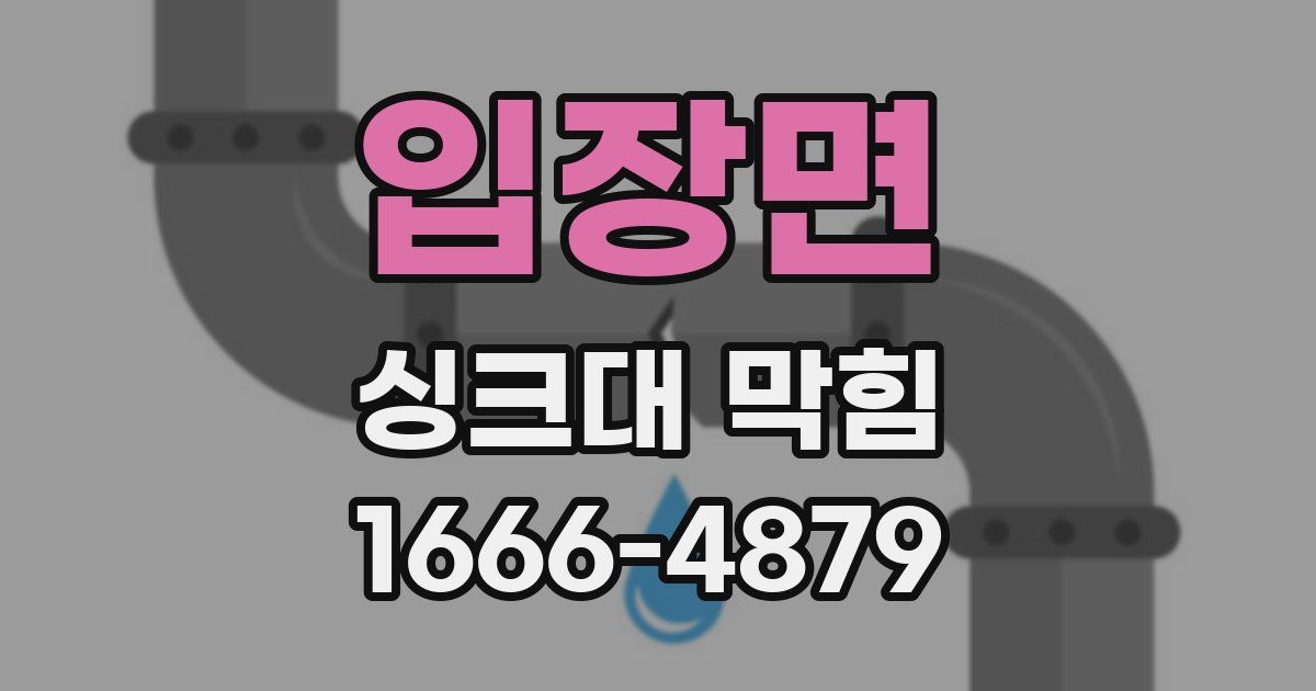 입장면 싱크대 막힘