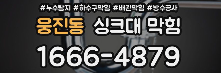 웅진동 싱크대 막힘