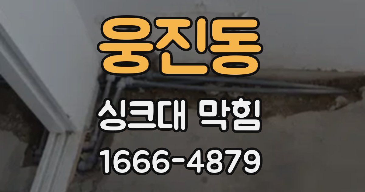 웅진동 싱크대 막힘