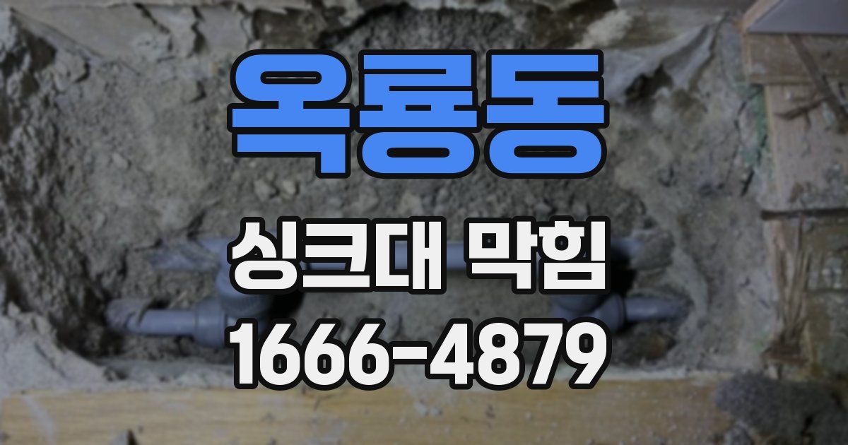 옥룡동 싱크대 막힘