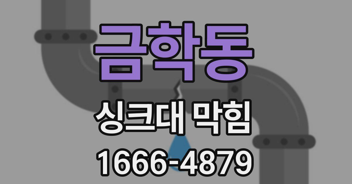 금학동 싱크대 막힘