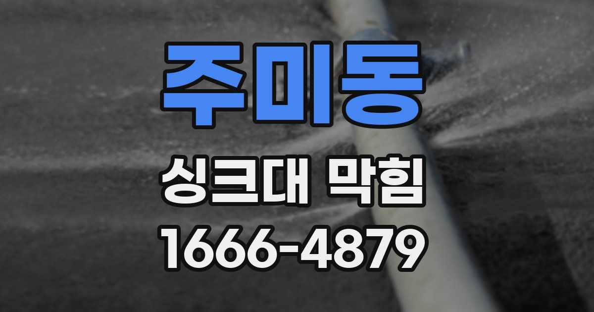 주미동 싱크대 막힘