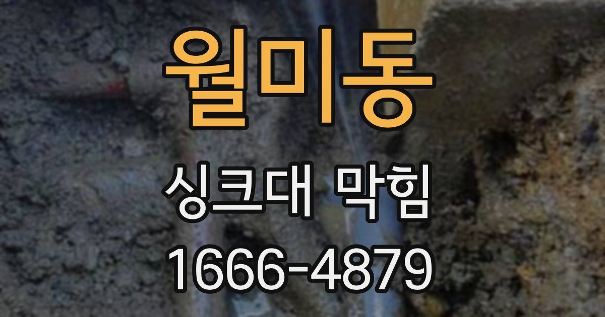 월미동 싱크대 막힘