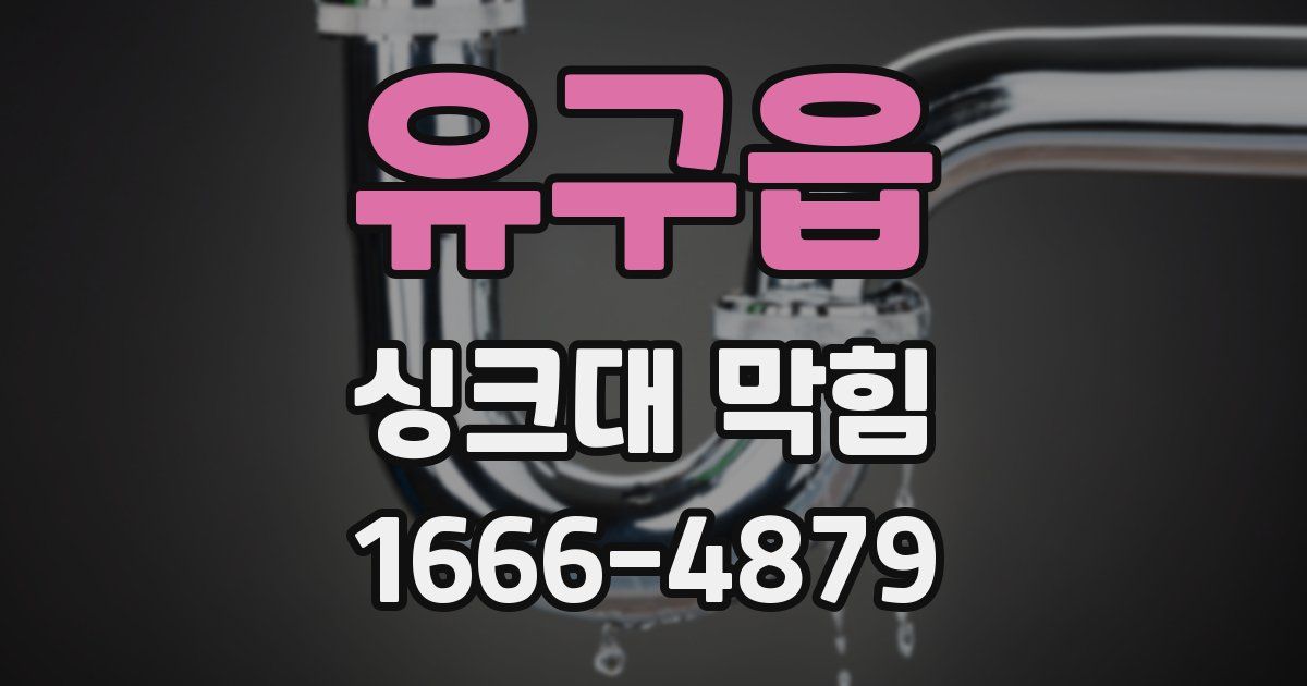 유구읍 싱크대 막힘
