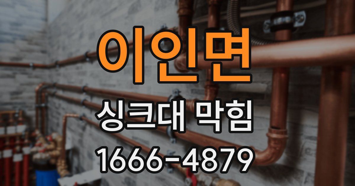 이인면 싱크대 막힘