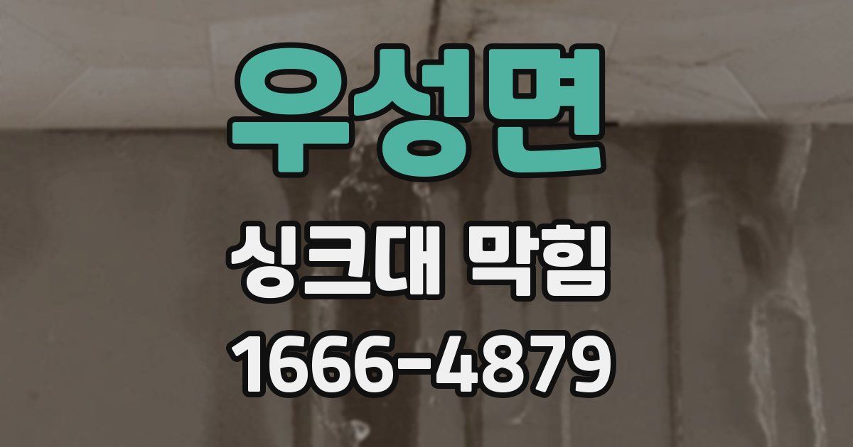 우성면 싱크대 막힘
