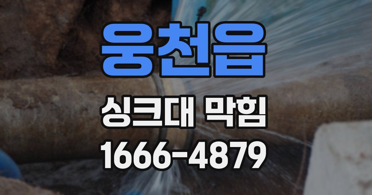 웅천읍 싱크대 막힘