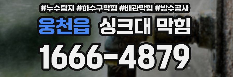 웅천읍 싱크대 막힘