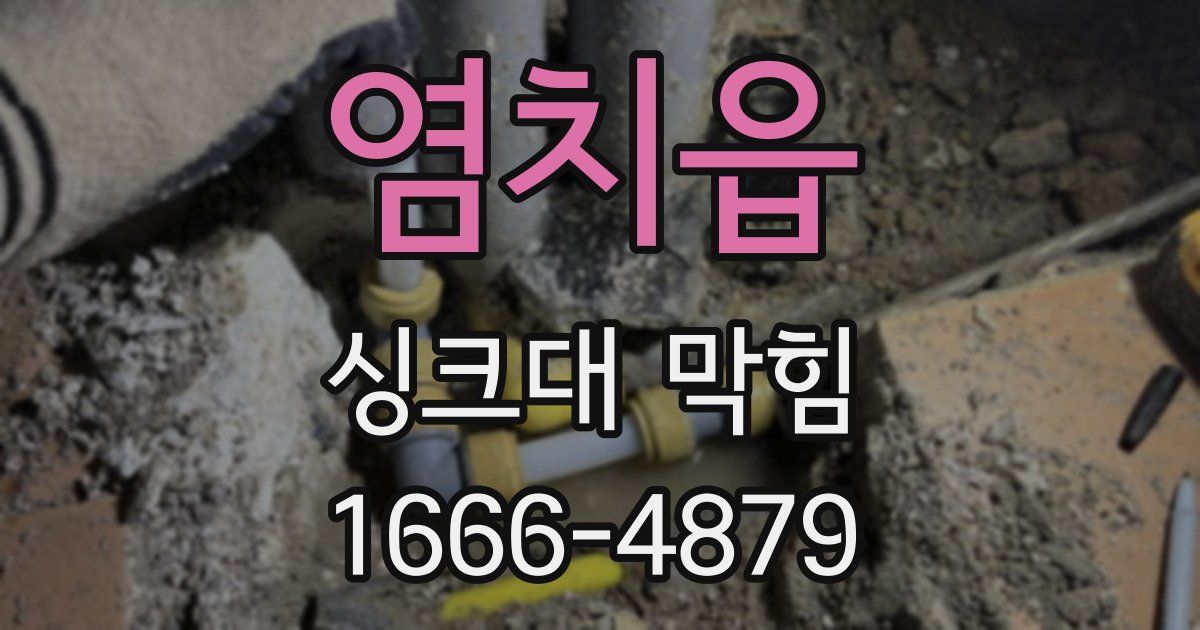 염치읍 싱크대 막힘