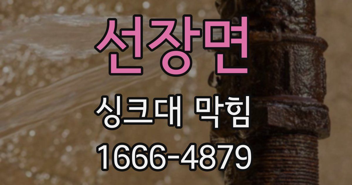 선장면 싱크대 막힘