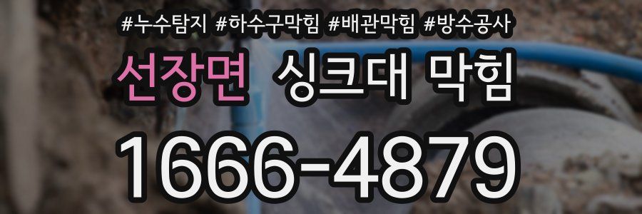 선장면 싱크대 막힘
