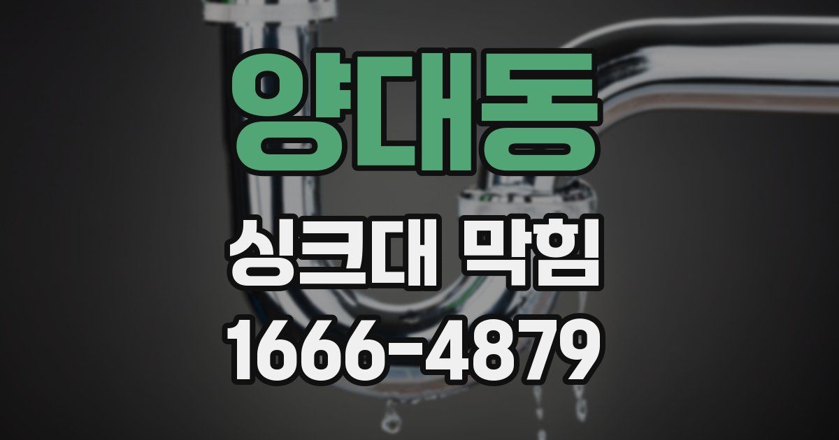 양대동 싱크대 막힘