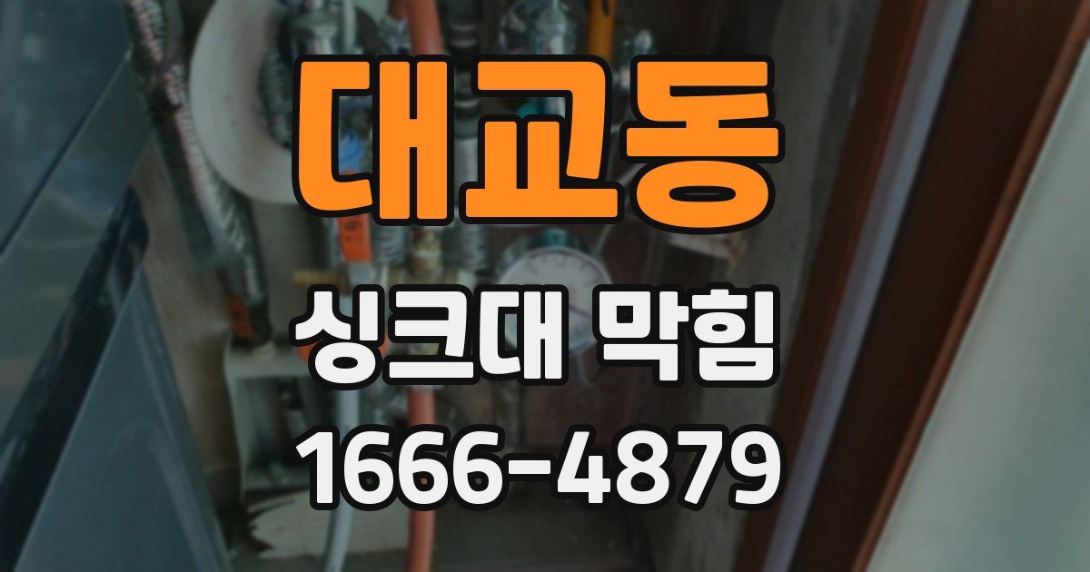 대교동 싱크대 막힘