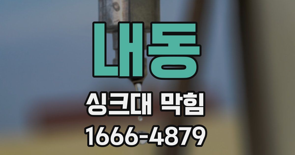 내동 싱크대 막힘