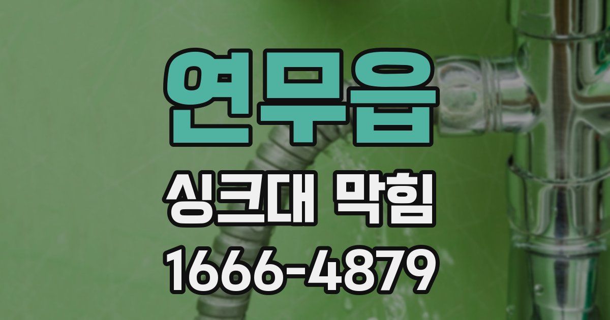 연무읍 싱크대 막힘