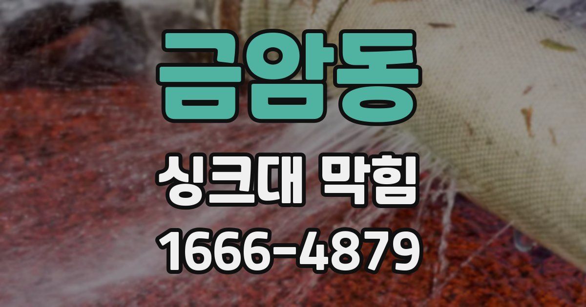 금암동 싱크대 막힘