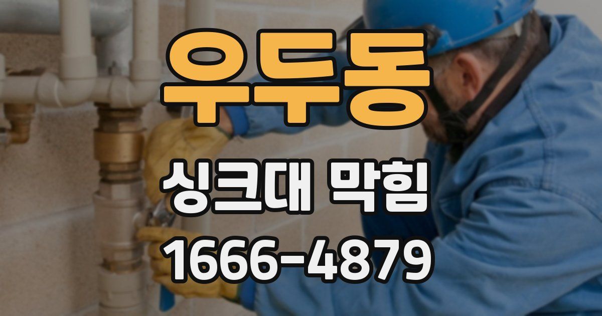 우두동 싱크대 막힘